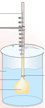 لم يحدث أي ارتفاع للماء أي من الحلول المقترحة التالية يعد صحيحا حتى يرتفع الماء في األنبوب : أ- ب- ج- د- وضع محلول ملحي في الحوض الزجاجي والماء المقطر في كيس السيلوفان.