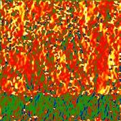 Cartografiile reprezentate in culori false sub