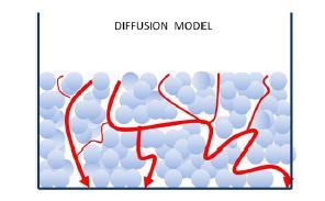 Modelul propus pentru explicarea datelor experimentale descrie mecanismul complex de difuzie a colorantului in porii anodului si absorbtia moleculelor de colorant pe suprafata acestuia.