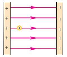 م 5 ش 2 الماهر في الفيزياء 21. شحنتان أحدهما ( 8 أضعاف ) األخرى ومتشابهتان المسافة بينهما ( 11 سم ) تكون نقطة التعادل : أ. في منتصف المسافة بينهما 31. التدفق الكهربائي عبرسطح مساحته ( أ. 83 نيوتن.