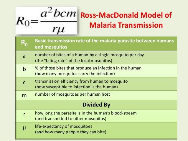 Το μοντέλο του MacDonald βασίζεται στο βασικό πηλίκο αναπαραγωγής (Basic Reproduction Rate, R 0 : αναμενόμενος αριθμός ατόμων που θα μολυνόταν από ένα μόνο μολυσμένο άτομο) Όταν R 0 =1, η κατάσταση