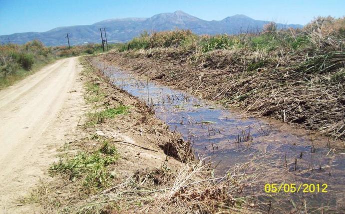 Μέτρα διαχείρισης του προβλήματος των κουνουπιών Διενεργήθηκαν ψεκασμοί προνυμφοκτονίας σε όλες τις