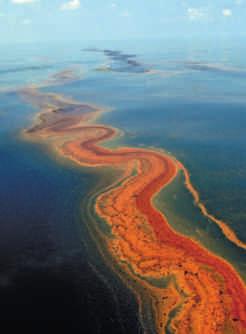 ثلاثون وم ا هذا الشهر إطار ا زمن ا لبناء التلسكوب. ل ط ع على المزد.. انظر: go.nature.