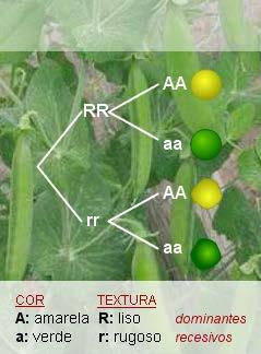 En ocasións a probabilidade dun suceso varía se se calcula coa condición de que ocorreu outro anteriormente.