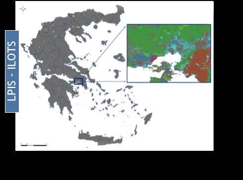 Συνολικά 460 εικόνες για κάθε περιοχή ενδιαφέροντος.