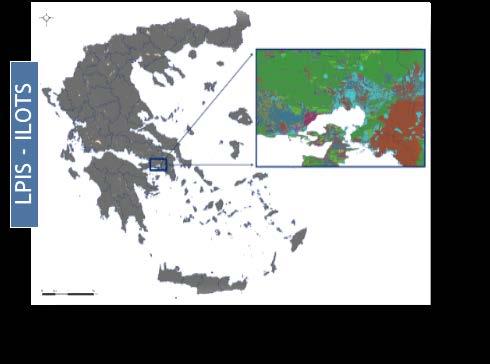 Συνολικά 460 εικόνες για κάθε περιοχή ενδιαφέροντος.