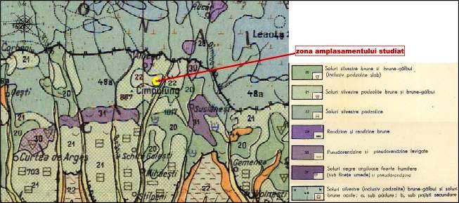 Dealurile piemontane şi subcarpatice ale Argeşului reprezintă domeniul de dezvoltare a solurilor silvestre podzolice brune şi brune-gălbui, iar podişurile piemontane Cotmeana şi Cândesti au soluri