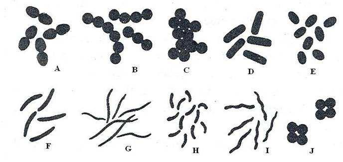 Fig. III-3.