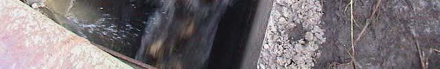 (repe u