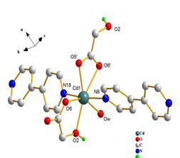 n Cd(NO 3 ) 2 + n C 2 H 4 O 3 +n C 10 H 8 N 2 +3n H 2 O Αντίδραση 3 ph 5