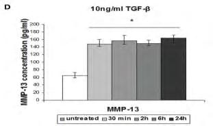 SREBP 2, HMGCR, phosphor PI3K και MMP 13 μετά από επίδραση φυσιολογικών