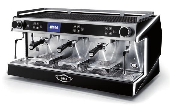19 Wega