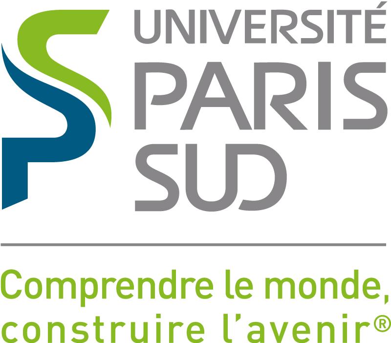 pions Bachir Moussallam Project started with