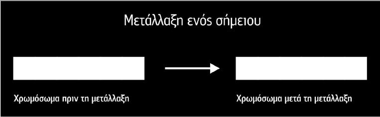 Οι αλλαγές που επιφέρονται στα σχήματα από τη μετάλλαξη δεν έχουν σχέση με την απόδοσή τους. Στην περίπτωση της κωδικοποίησης με δυαδικό αλφάβητο (βλέπε Σχήμα 8.