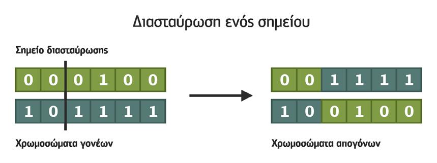 Σχήμα 8.