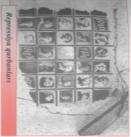 Hüseyn Cavid, M.Mümtaz, Salman Mümtaz, Mikayıl Müşfiq, Əli Razi, Tağı Şahbazi, Yusif Çəmənzəminli, Bəkir Çobanzadə və bir bir çox başqa görkəmli nümayəndələri də olmuşdur.