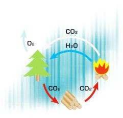 CAZANE CU FUNCŢIONARE PE BIOMASÃ -PELLET -LEMN MCL BIO 23-79kW (Sistem de ardere cu alimentare automatã BIOPLEX) AVANTAJELE SISTEMULUI: -sistem poli-combustibil (lemn, brichete, cãrbuni,