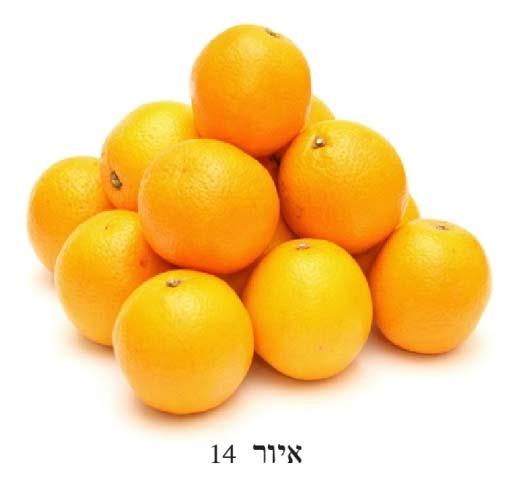 מדור חדשות מתמטיות 15 על כן אם נמלא את כל המרחב בתריסרונים מעוינים שווים