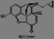 شادات - حاص ارت مختلطة (أو تسمى شادات جزي ية): مثال :pentazocine الذي يعمل كشاد على مستقبل kappa وحاصر