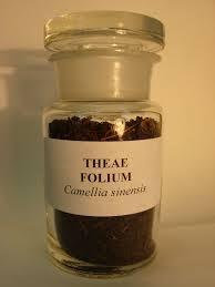 Theae folim Thea sinensis (sin: Camellia sinensis) Fam.