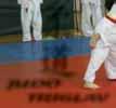 Pri Nini temu ni povsem tako, saj je bivša tekmovalka, ki je na tekmovanjih v karateju dosegala dobre rezultate, pred približno enim letom postala sodnica pripravnica.»uživam v tem delu.