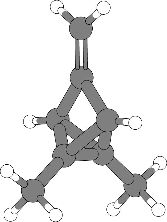 3-methylenetetracyclo[3.2.0.02,7.