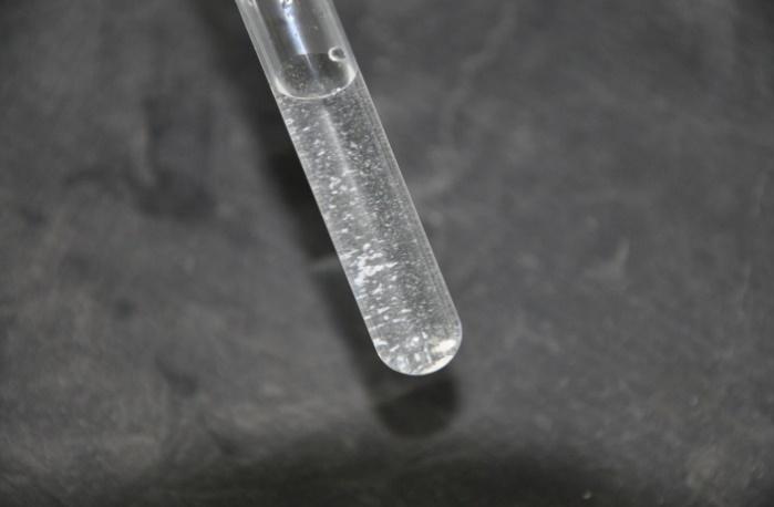 Gebės kokybiškai įrodyti laukiamų oksalo rūgšties skilimo produktų buvimą.