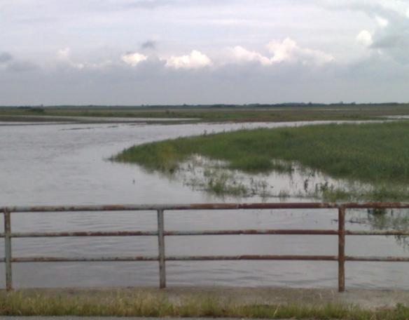 Поплављене и превлажене површине изазване унутрашњим водама Одбрана од поплавних унутрашњих вода (ОПУВ) на територији АП Војводине, за коју је надлежно