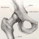 CPLA DE RECARE Tribology Raport prof.