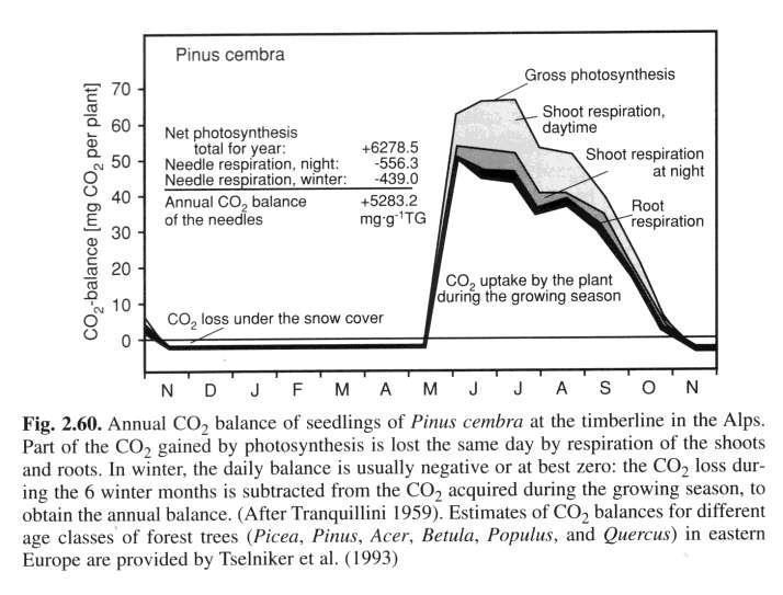 Letna bilanca CO 2 kalice