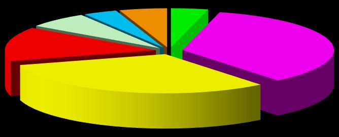 Structura de personal Ropharma la data de 31 decembrie 2017 în funcție de varsta se prezenta astfel: 3.63% 5.11% 6.58% 14.19% 31.33% 3.97% 35.