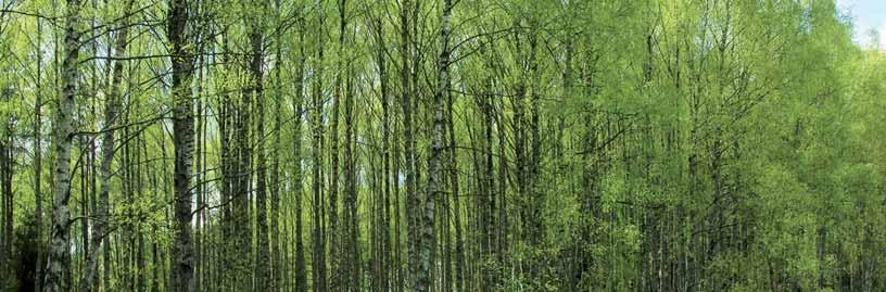 Izolacija velikih prednosti: Baumit XS 022 Ekološki sustav: Baumit Nature 20 21 1* 2* 1* sustav Baumit XS 022: 0,022 W/mK, 8 cm 2* obični fasadni sustav: 0,040 W/mK, 15 cm Fasadni sustav Baumit XS