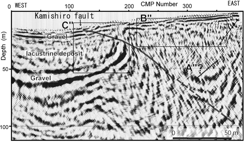 migrated time section (b) of the S-wave seismic