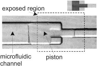 Key idea et al., Anal.
