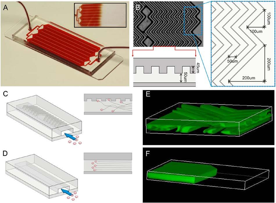 bloodstreams for cancer detection and monitoring Key idea Cancer cells