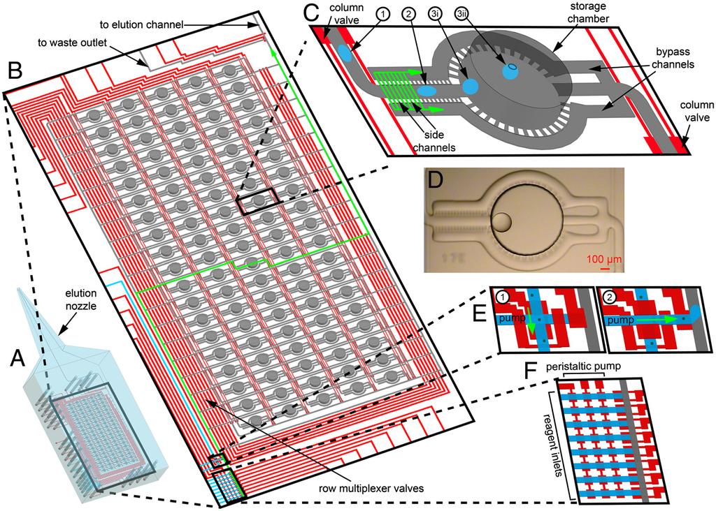 without sample contamination Key idea and sequence whole