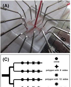 lab-on-a-chip devices allows