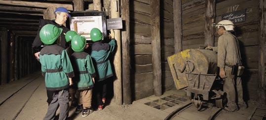 Antonijev rov, Idrija Železna jama, Domžale ŽELEZNA JAMA Domžale Železna jama ima med seboj z rovom in mostovi povezani dvorani, ki sta po zasnovi večji brezni.