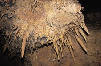 Čeprav je majhna, obiskovalca očarajo pestre oblike stalagmitov in stalaktitov, sigovih izrastkov, ponvic in manjših zaves.