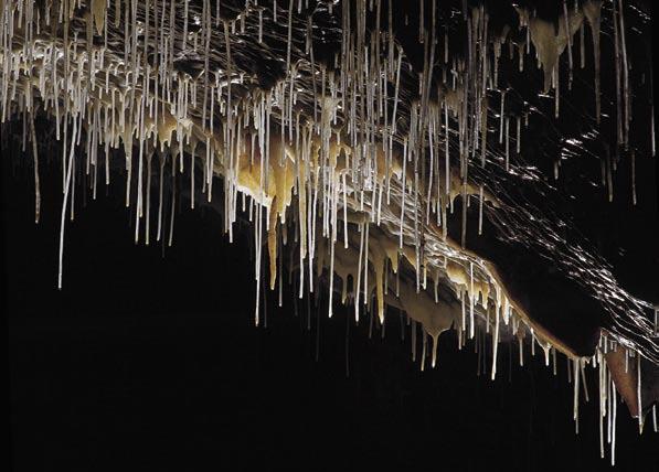 Postojnska jama, Špagetna dvorana Ves kras je namreč 'podkleten' s tisoči podzemskih jam.