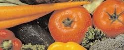 Nutricionistët kanë evidentuar se njerëzit mesdhetarë që nga pirja, ngrënia, dhe mënyra e jetesës bëjnë të mundur të ulin rreziqet edhe për obezitetin që në Amerikë