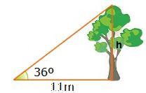 O cos dun ángulo agudo é /, calcula o seno do ángulo. 18. A tanxente dun ángulo agudo é 1/5 calcula o seno. 19. O sen=/5 é un ángulo agudo, calcula a tan. 0.