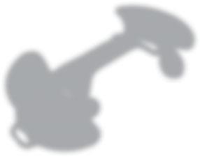 DISPOZITIVE