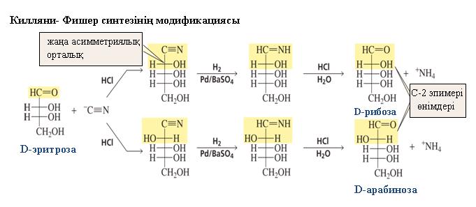 Синтездің бірінші сатысында цианид ион карбонил тобына қосылады. Бұл реакцияда бастапқы өнімдегі карбонилді көміртегін асимметриялық орталыққа өзгертеді.