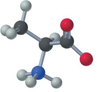 Моносахаридтерден өзгешелігі D-изомерлер табиғатта өте сирек, ал көп кездесетін аминқышқылдары L-конфигурация түрінде болады.
