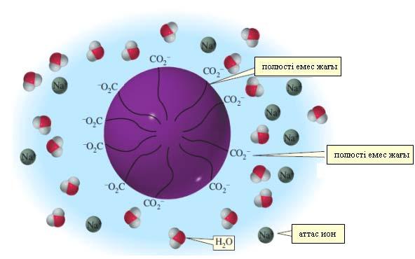 полюсті топ 11.2-сурет Сулы ерітіндіде сабын молекулалары мицелла түзеді.