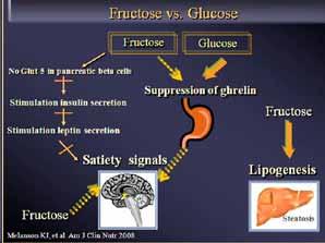 המשך מעמוד קודם: השפעות מטבוליות וקליניות של צריכת סוכרים דיאטה עתירת סוכר מוסף עשויה לעודד ייצור של אינסולין ושל IGF )פקטור גדילה(, שעשויים לעודד פרוליפרציה של תאים ועיכוב מוות תאים,Apoptosis עידוד