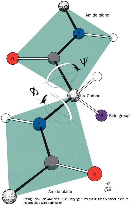 Dihedralna kota Φ (fi) in Ψ