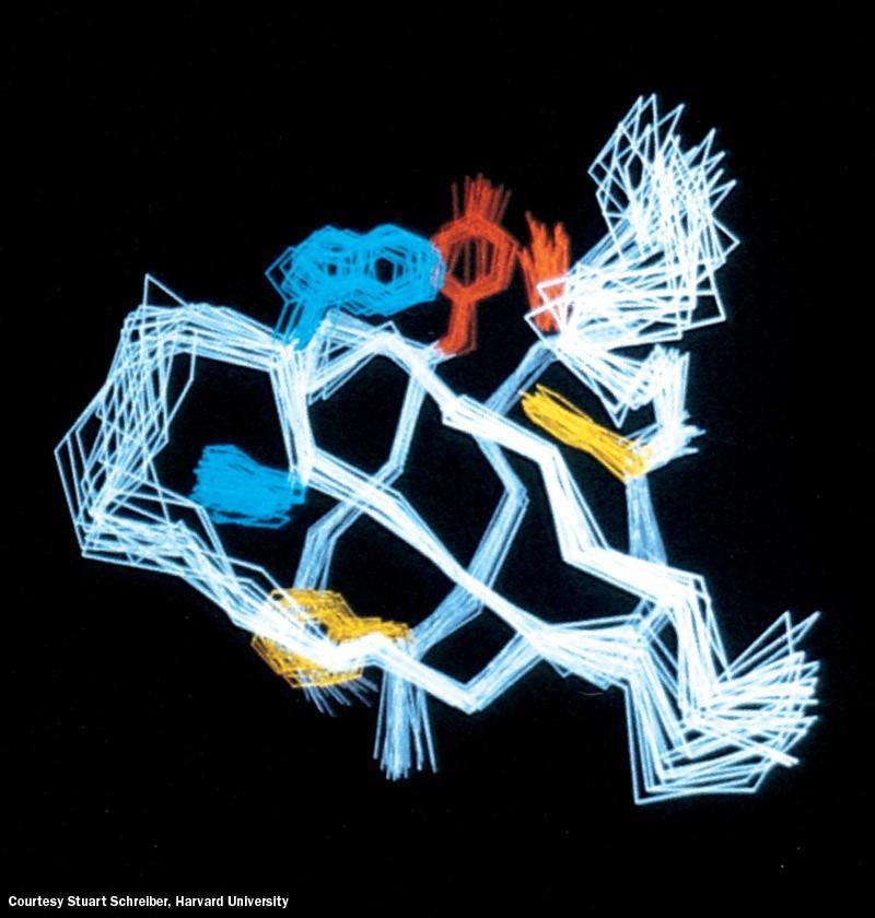Struktura proteina (Src protein SH3 domena) dobljena z 2D