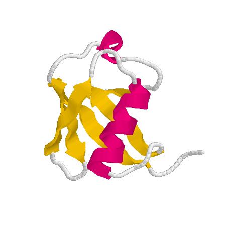 Selektivno razgradnjo proteinov uravnavajo znotrajcelični in zunajcelični signali. Eden od njih je vezava ubikvitina (majhen protein) na za razgranjo namenjen (predvsem delno razvit) protein.